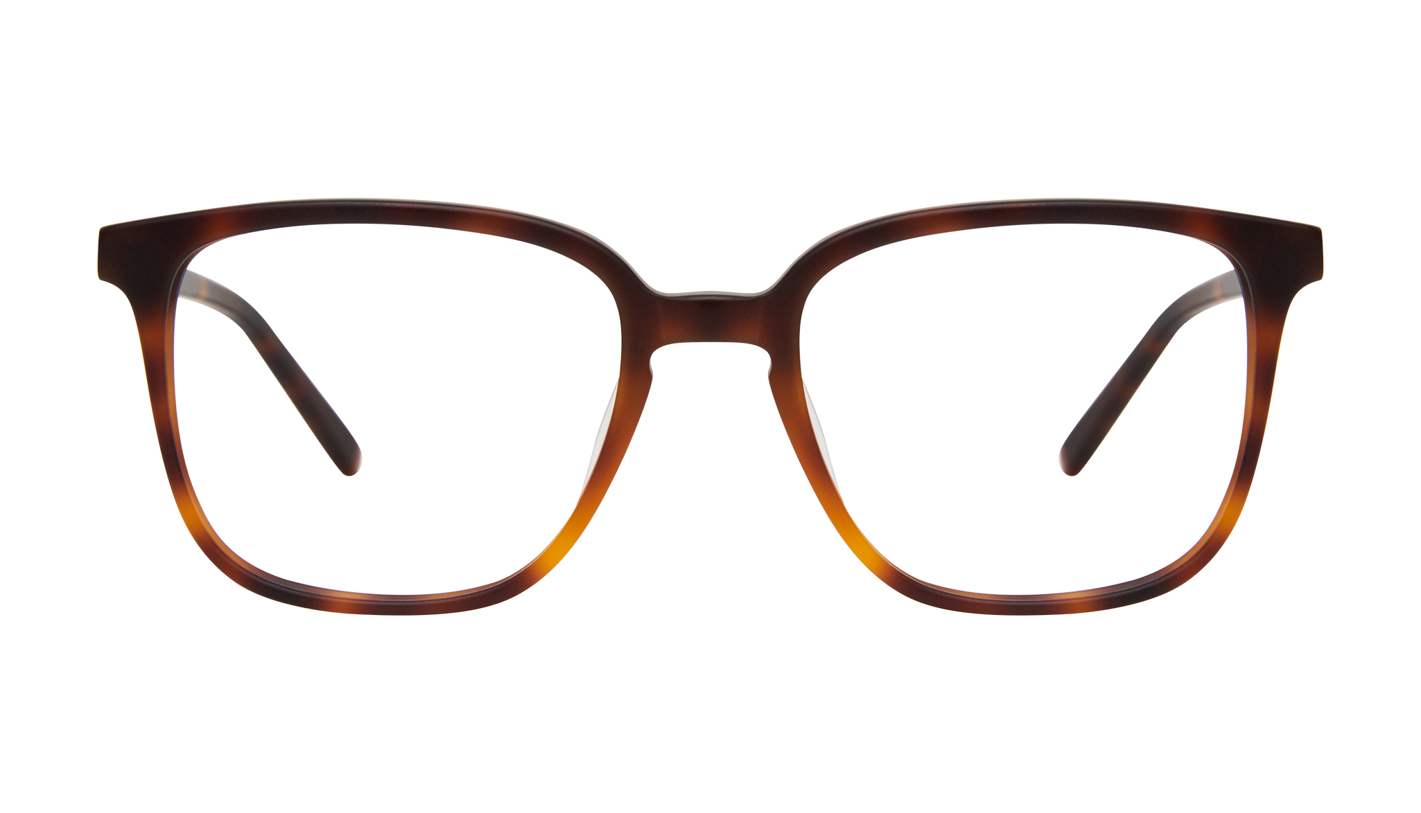 matte tortoise glasses