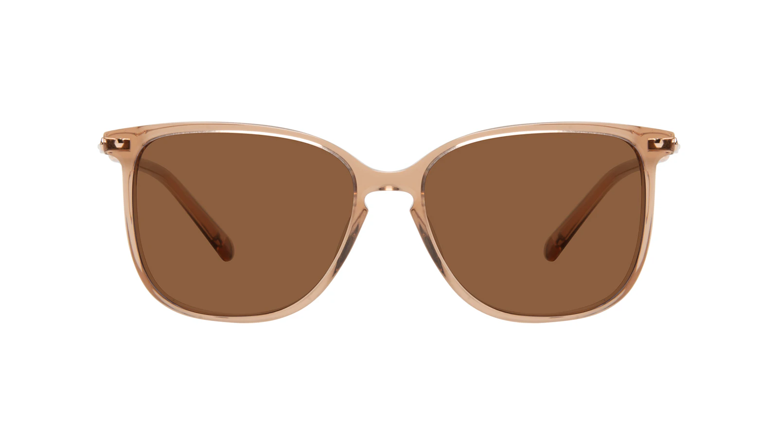 Affordable Fashion Glasses Square Sunglasses Women Sonia Petite Terra